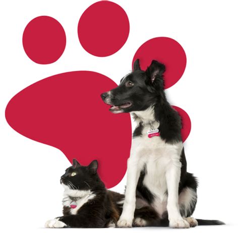 24 hour pet watch canada login